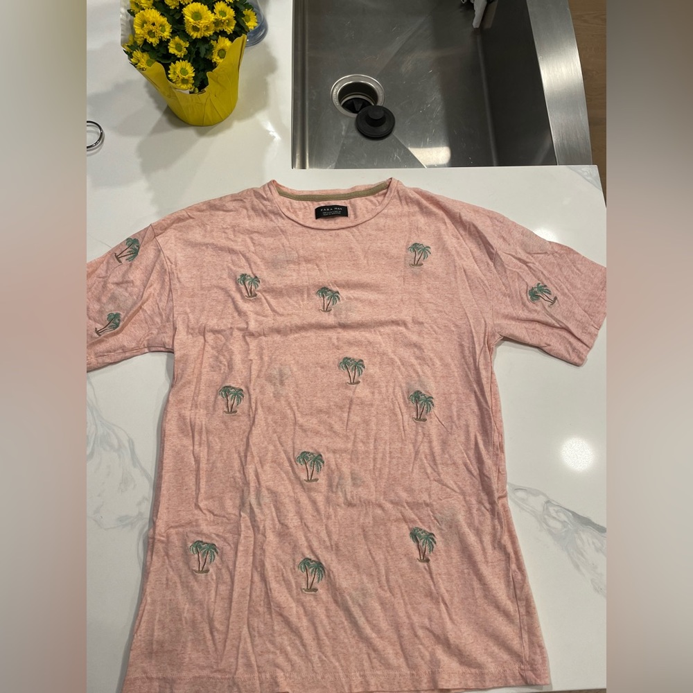 small zara shirt